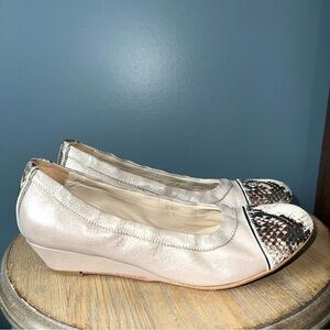 AGL Attilio Giusti Leombruni Wedge Pump